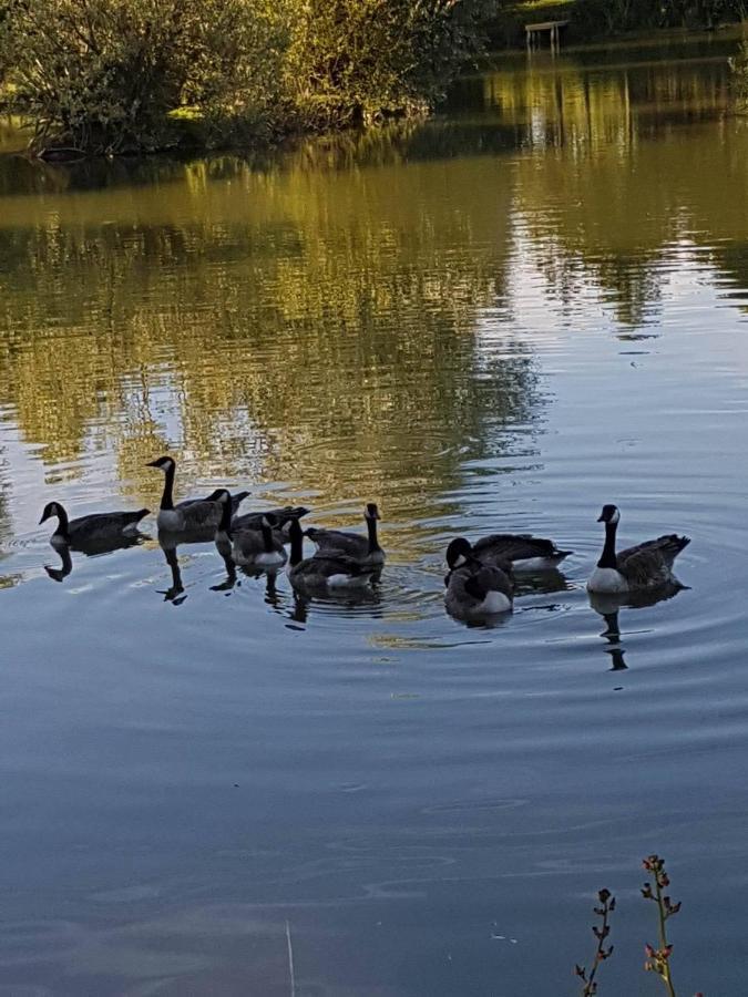 Elton Barn Fishery & Retreat Nottingham Buitenkant foto